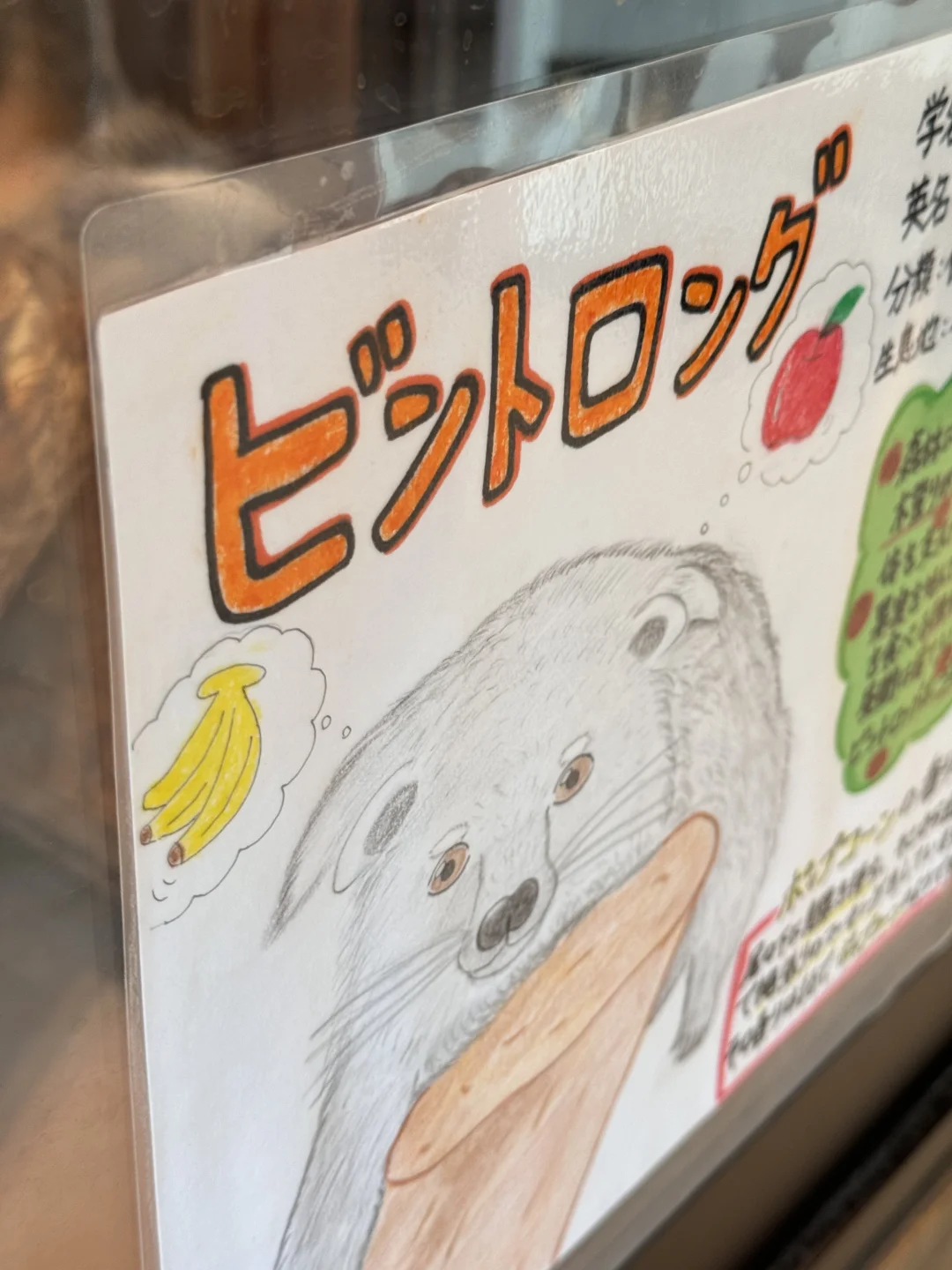 她也太可爱了叭