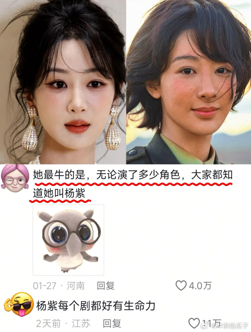 生命树好不好看，有真实评论吗？ 