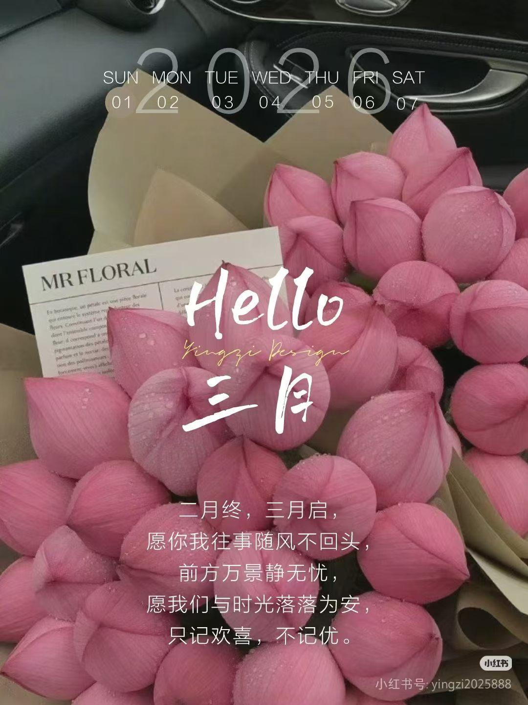 三月你好，春归万物生，美好正发生，愿你步履轻盈，自在欢喜~[玫瑰]