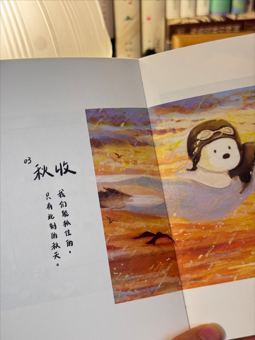 “世界破破烂烂，小狗缝缝补补” ​​​