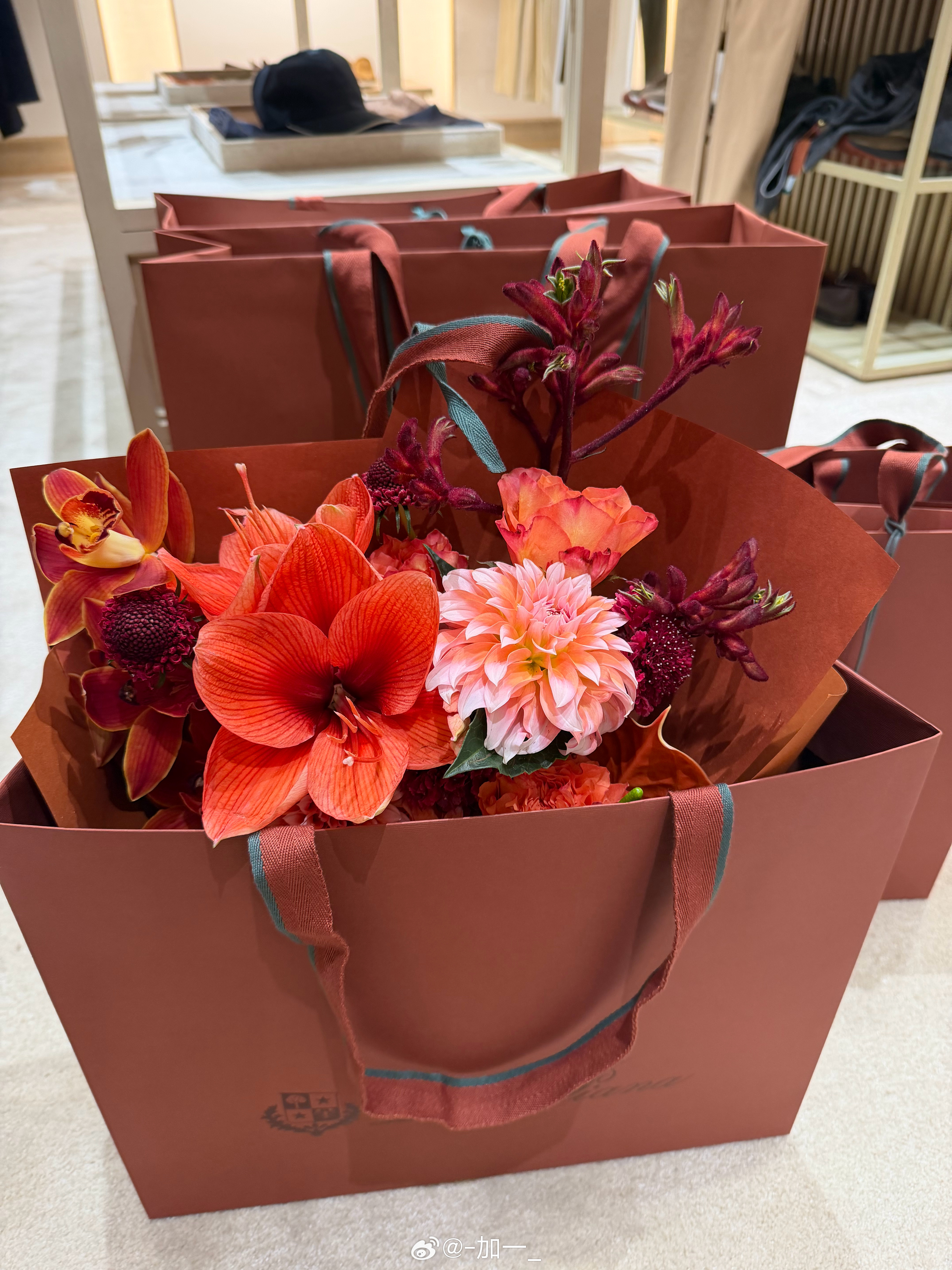 最近有在认真生活调整状态相册存图太多啦分享欲很淡… 