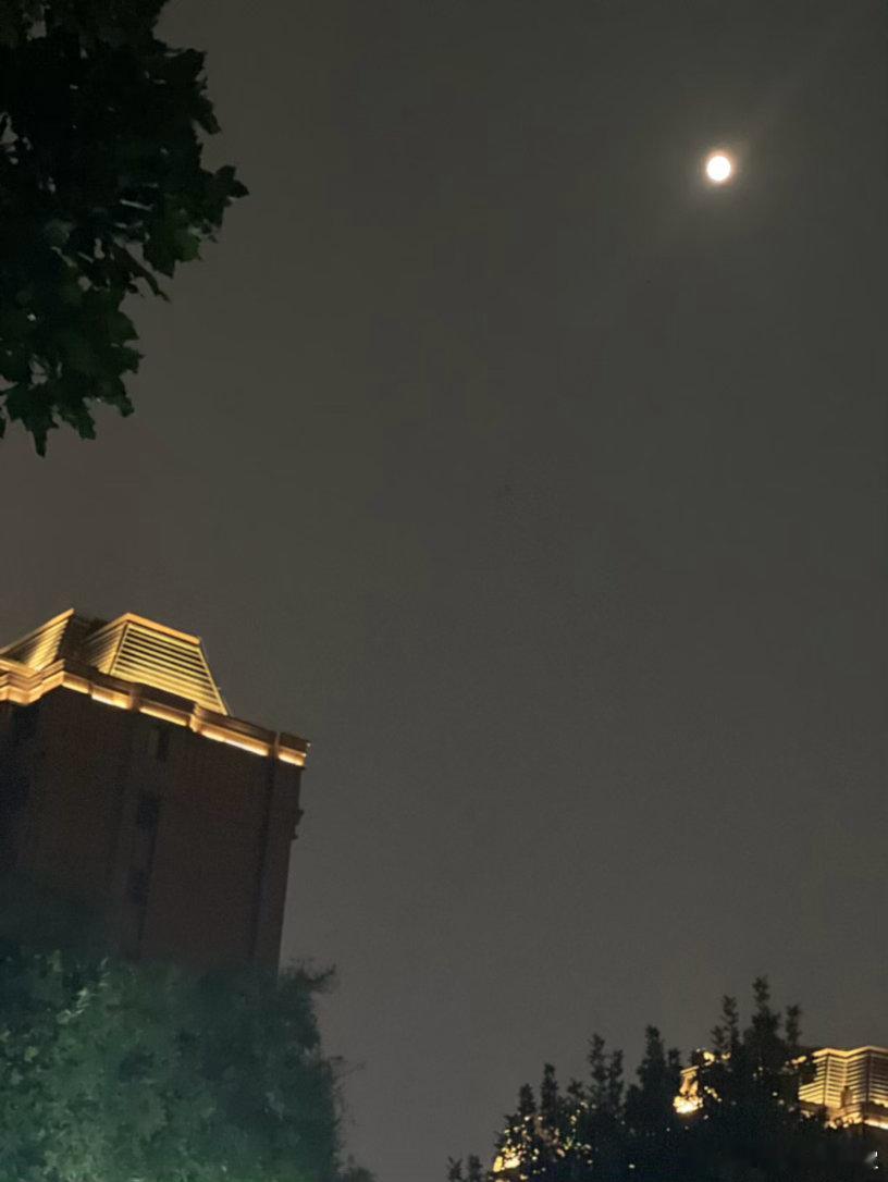中秋快乐啊，我们胖胖今晚也是吃的月饼，就是那位有年有节的姨姨给定的[哈哈] ​​
