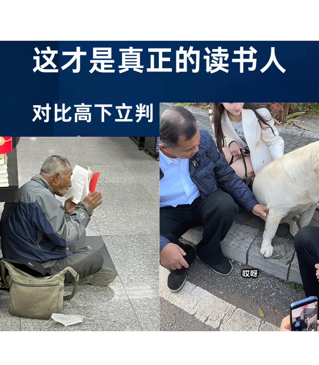 流浪大师在这位值得尊重的读者面前，什么都不是！上海一家书店里，一位六旬老人背着装