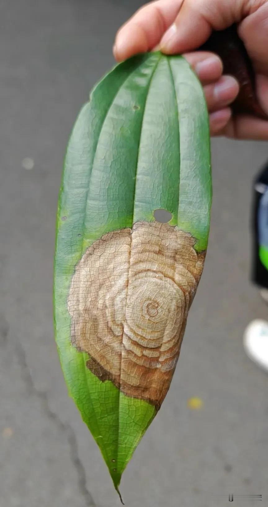 分享一个股市投资的独特经验：
那就是不管是大盘还是个股，
你不要去分析买入后它如