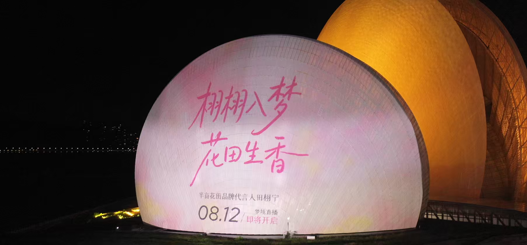 半亩花田给田栩宁在海上大剧院搞的这个剧院级定制光影大秀，我是真没见过！！！好高级