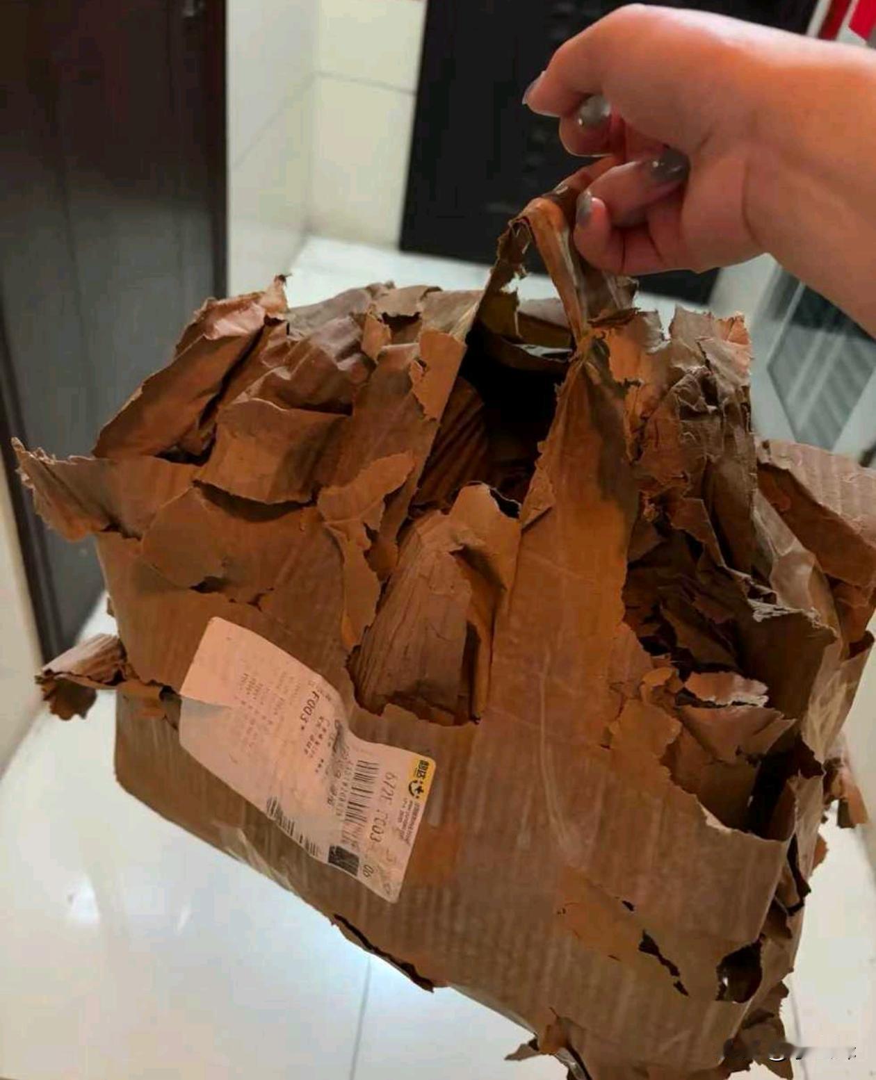 巴黎世家设计师的灵感来自这吧？