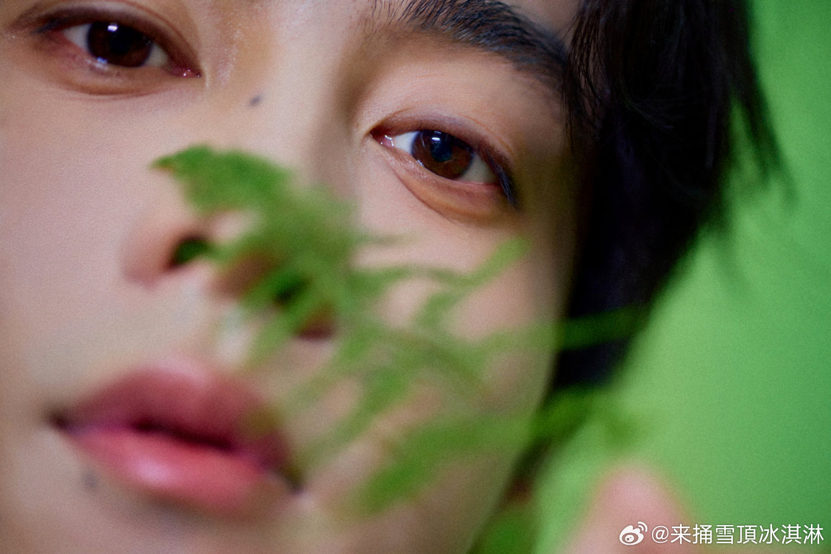 田栩宁竹影写真田栩宁纱影轻垂嗯嗯 