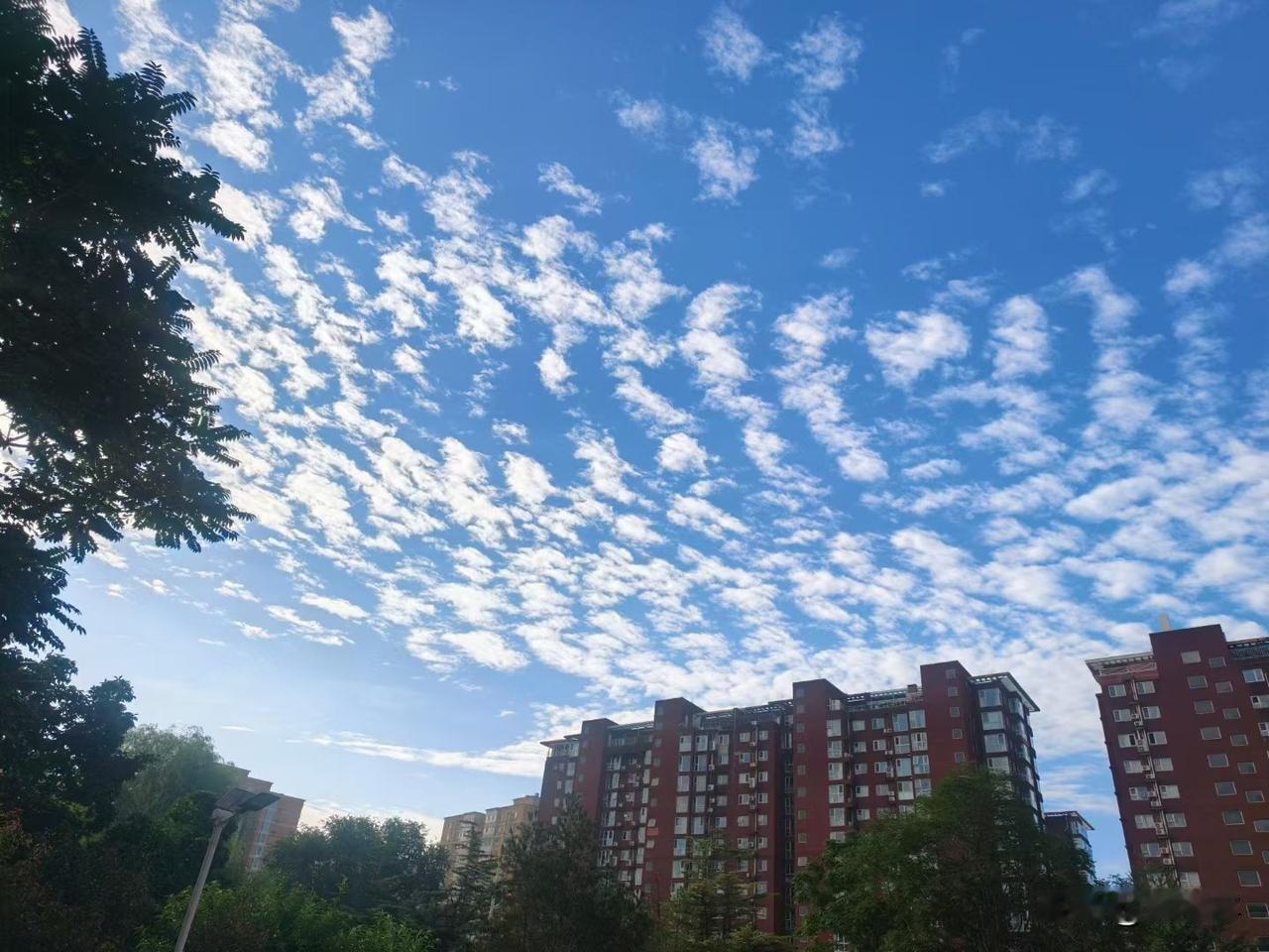 a股周一必有反弹，
周五是交割日，空头砸盘过猛！
周一反弹无疑！
七月的低点，大