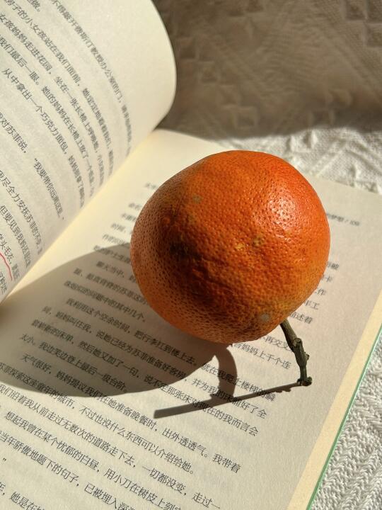 阳光正好，吃个橙子看书吧🍊