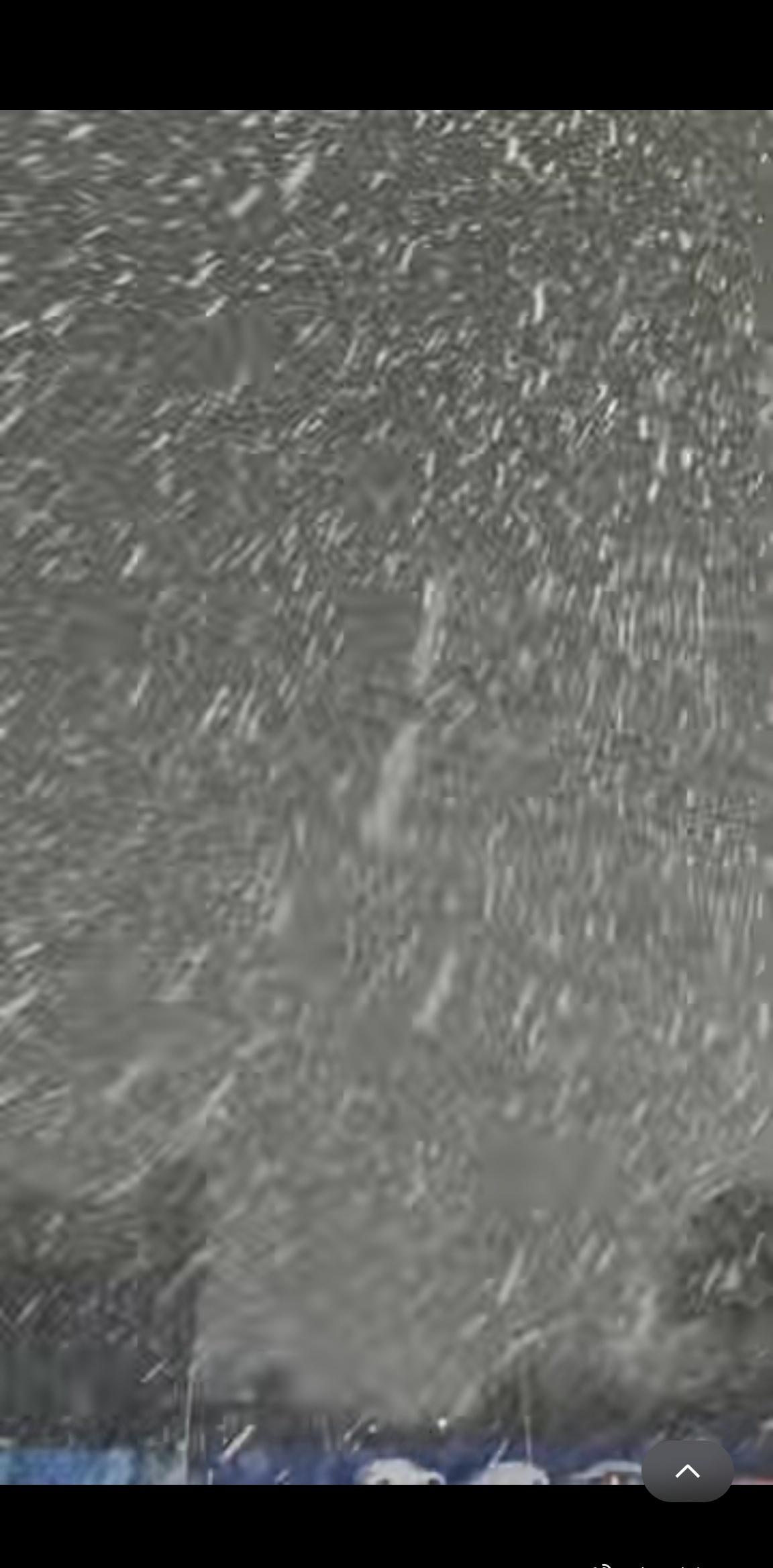 这大雪。瑞雪兆丰年