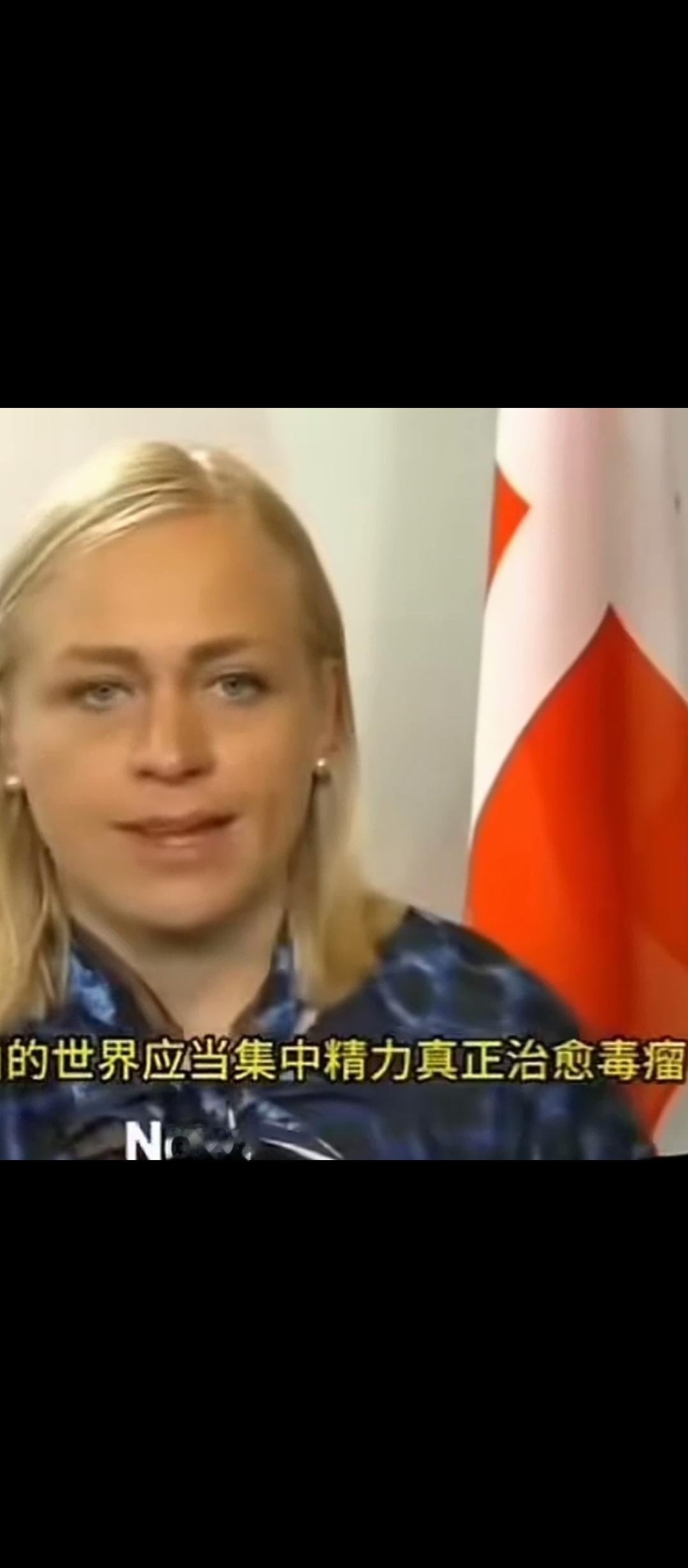 “西方应专注于治愈俄罗斯这颗d.l....”[捂脸]，这是芬兰外交部长瓦尔托宁在