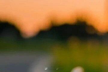 别人都说甜，可我从未体会到过。 