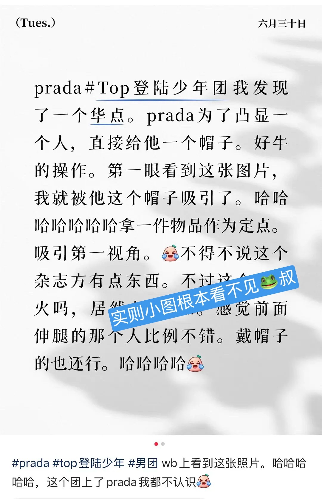 你们知不知道自己演的真的很假🤣这么满意那就wq以后所有物料都严格按照这个站位吧