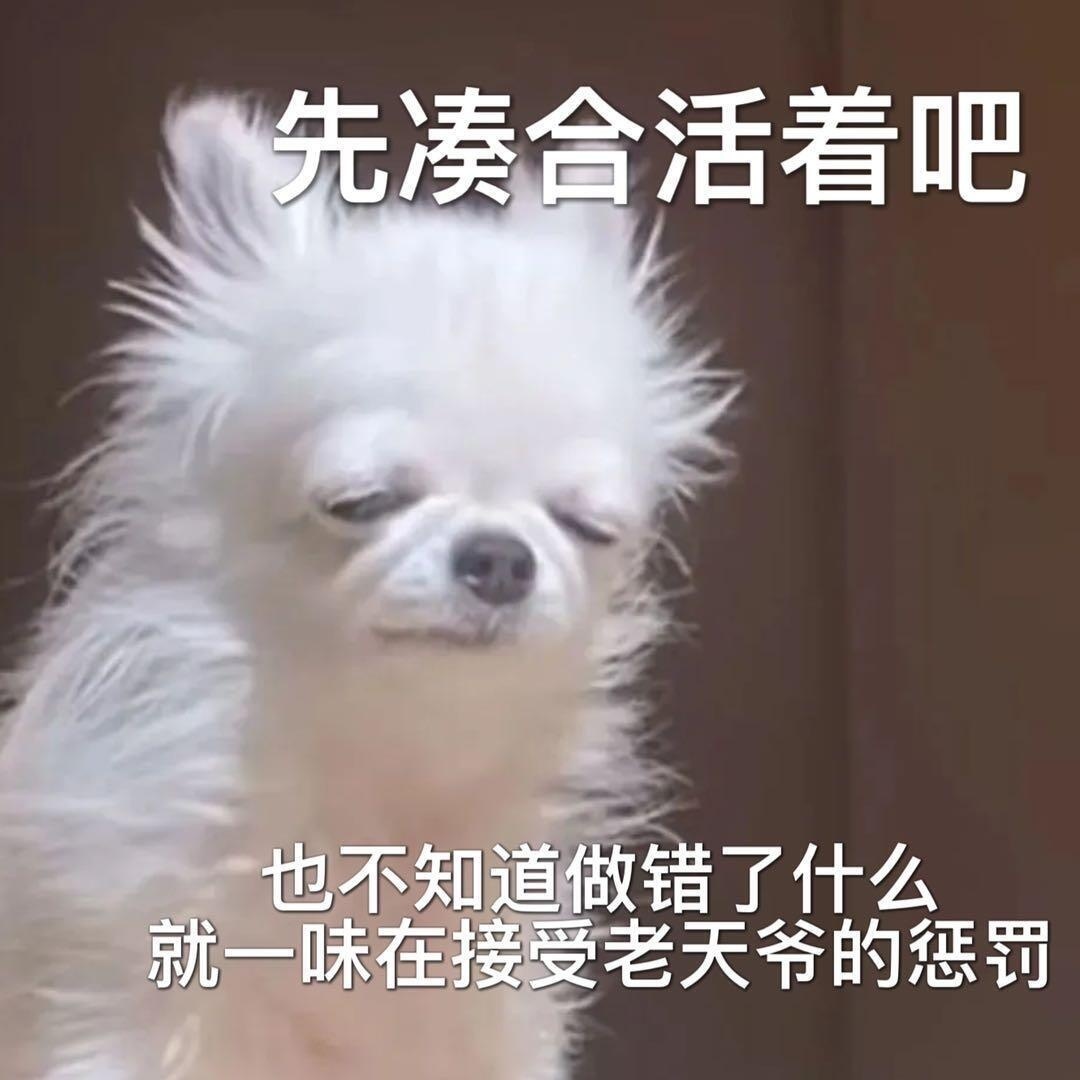 好命苦，之前去新加坡已经把唯一的出境机会用完了