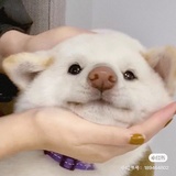 根旺爱聊科技