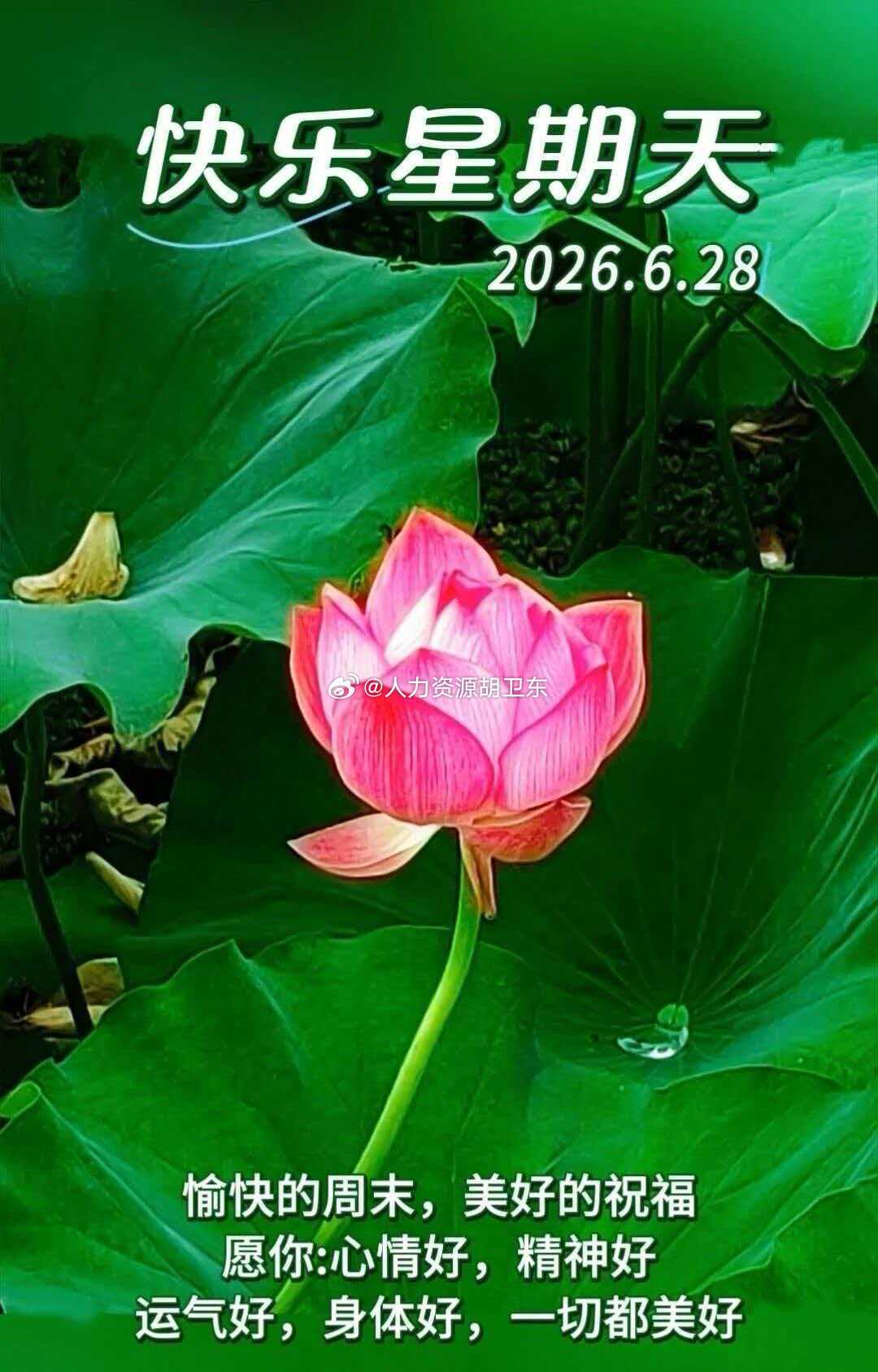 分享图片 