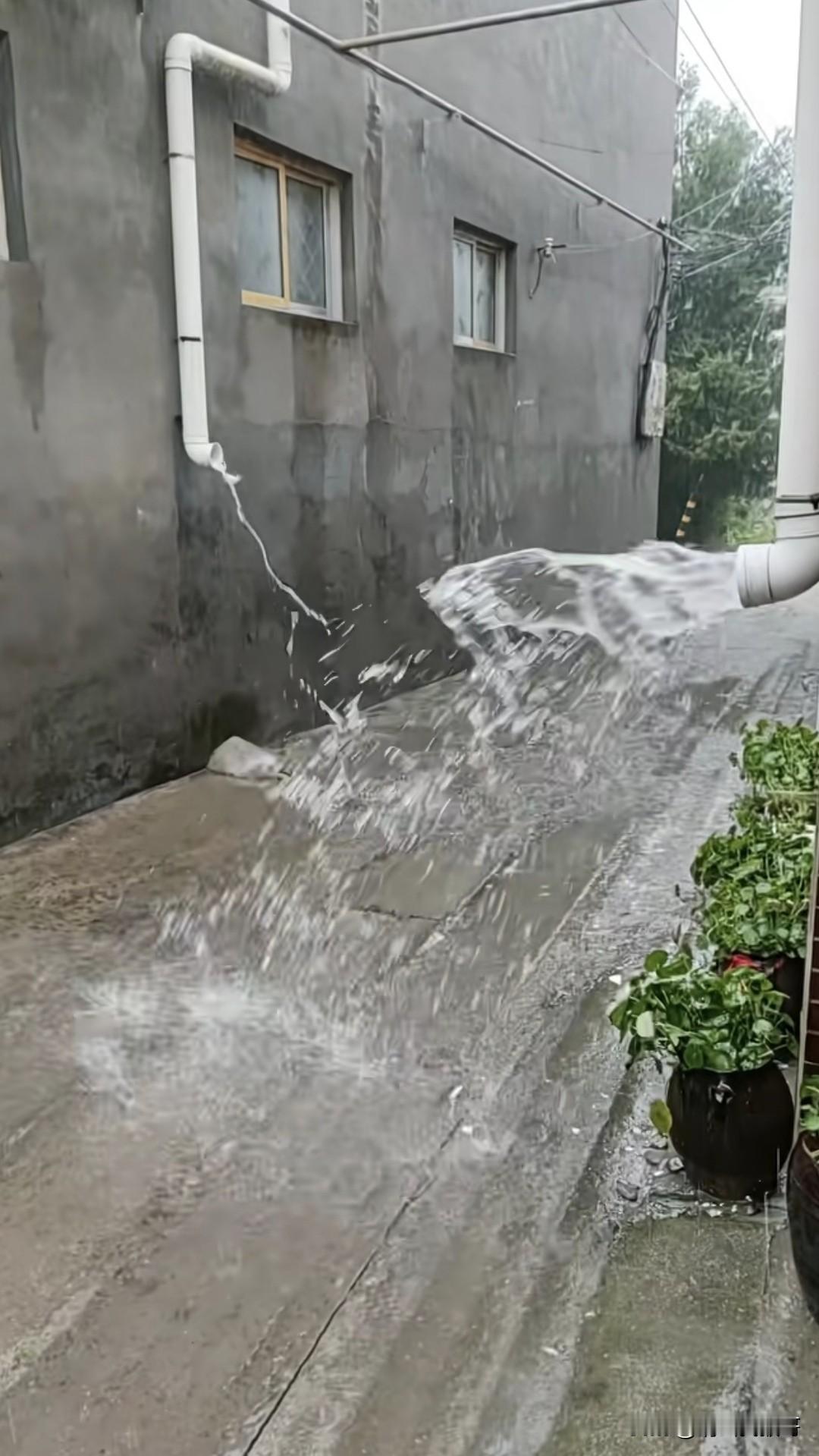 感觉这两根水管在吵架