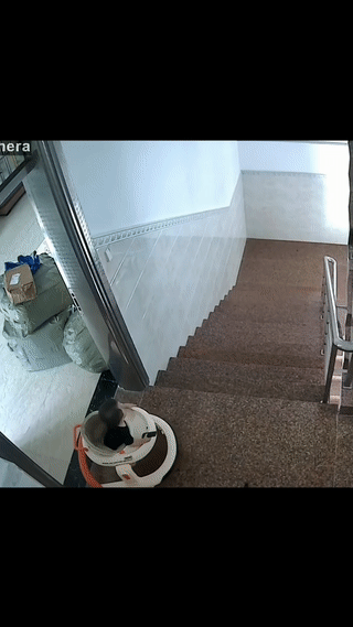 这孩子的家长心可真大！
小孩一个人坐着学步车从家里遛出来。
她们竟然毫无察觉？