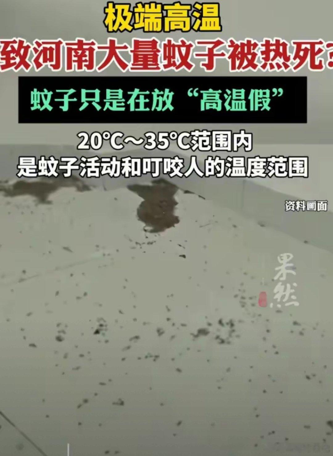 河南有多热？热到河南已经没有蚊子了…… ​​​