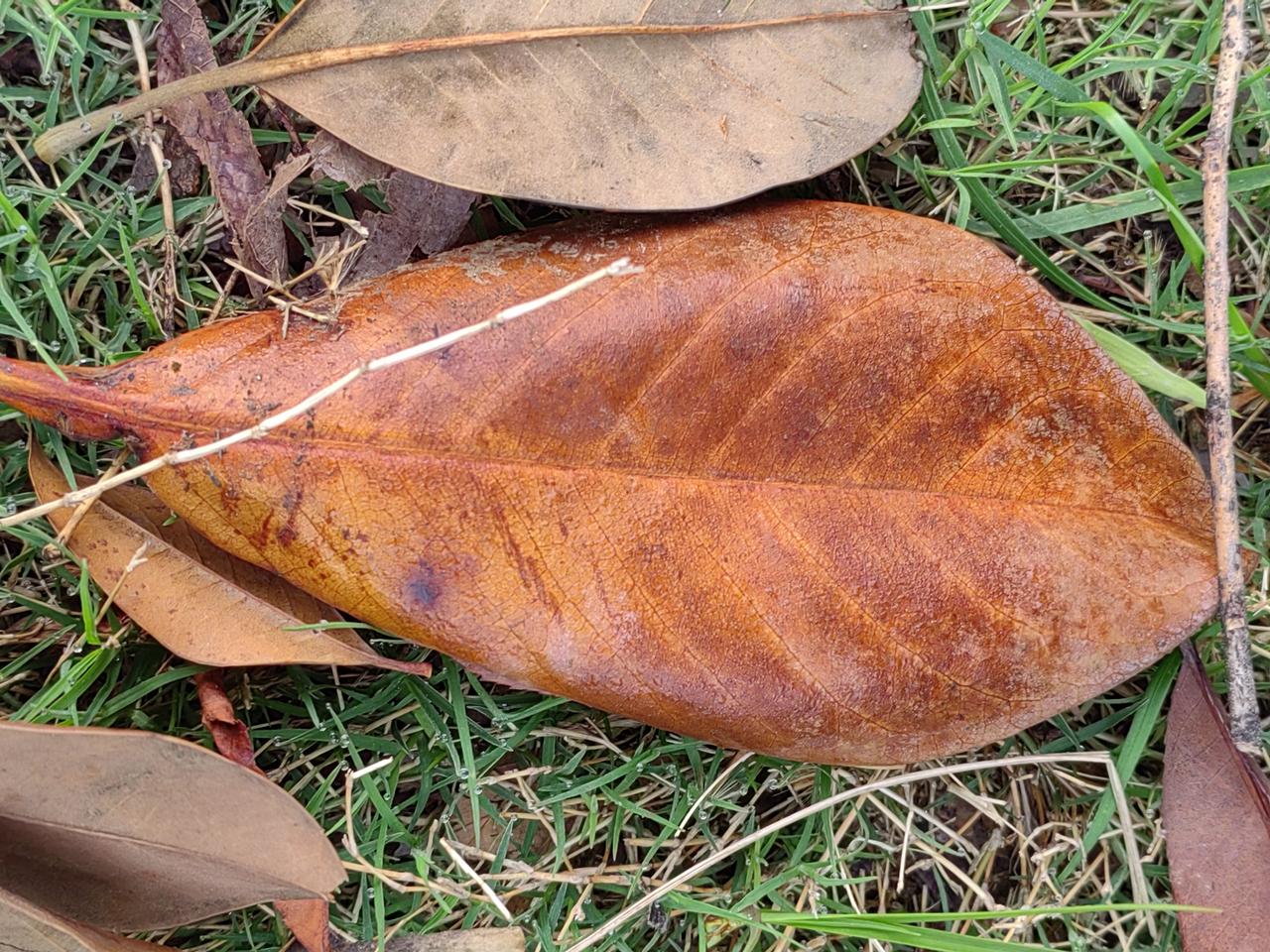 领导想毁掉你有多简单?随手的事，给你多压任务可以毁掉你，给你很少的任务可以毁掉你