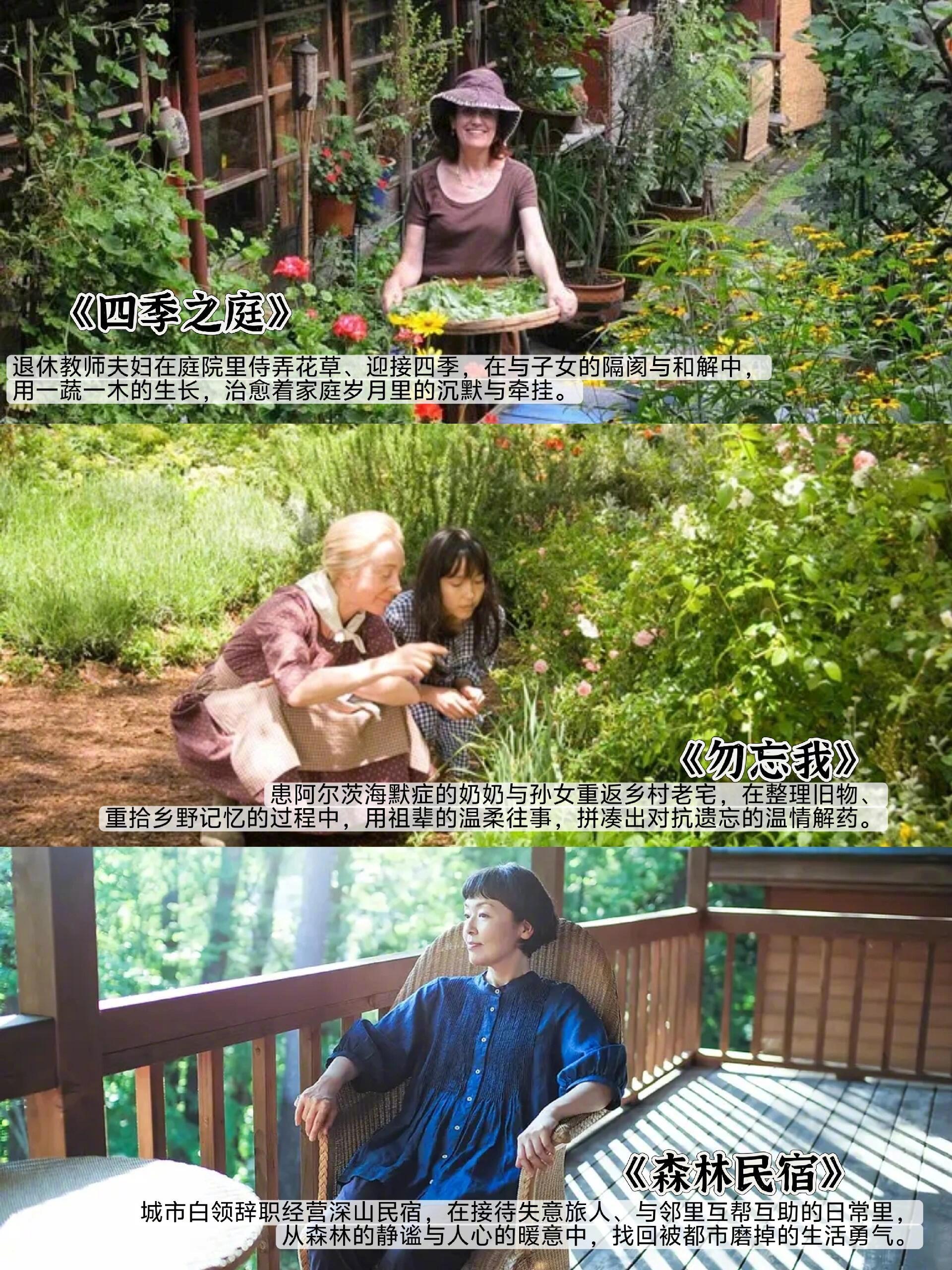 在乡村电影里治愈卷累的心。 