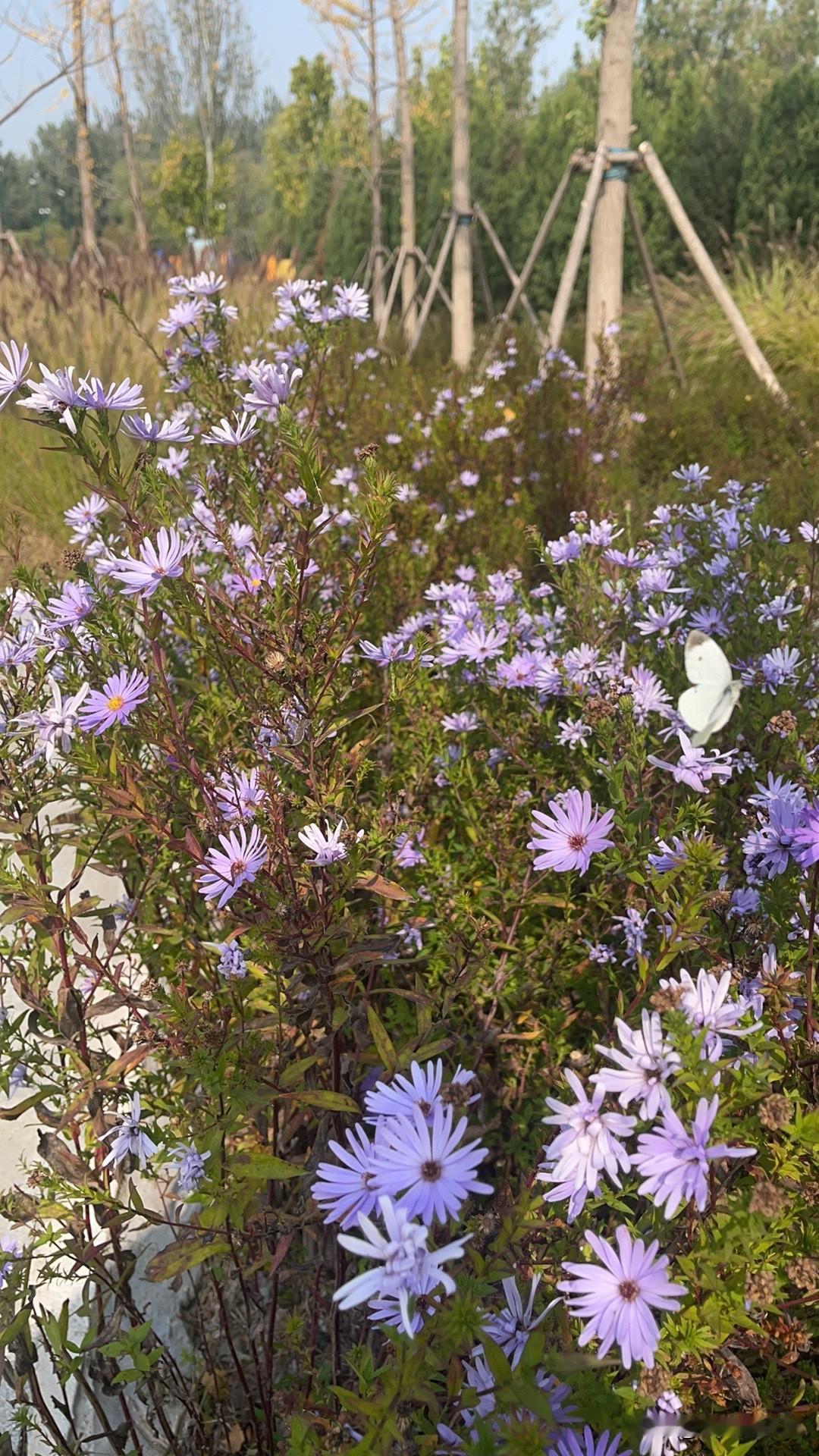 男女各有所做……
早晨女人化妆，男人刮胡子……都是为了那张脸！
最近说伊朗的事情