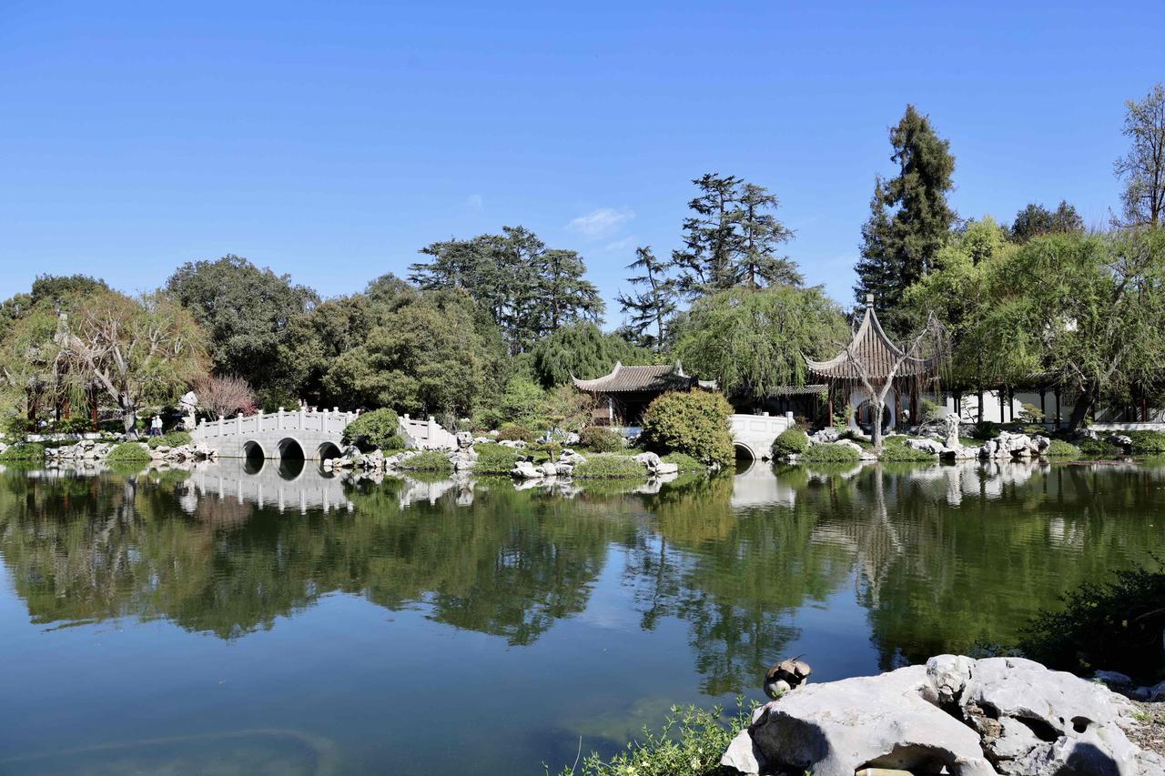 这里是美国加州圣马力诺亨廷顿植物园·流芳园，是海外规模最大、最正宗的苏州式明中期