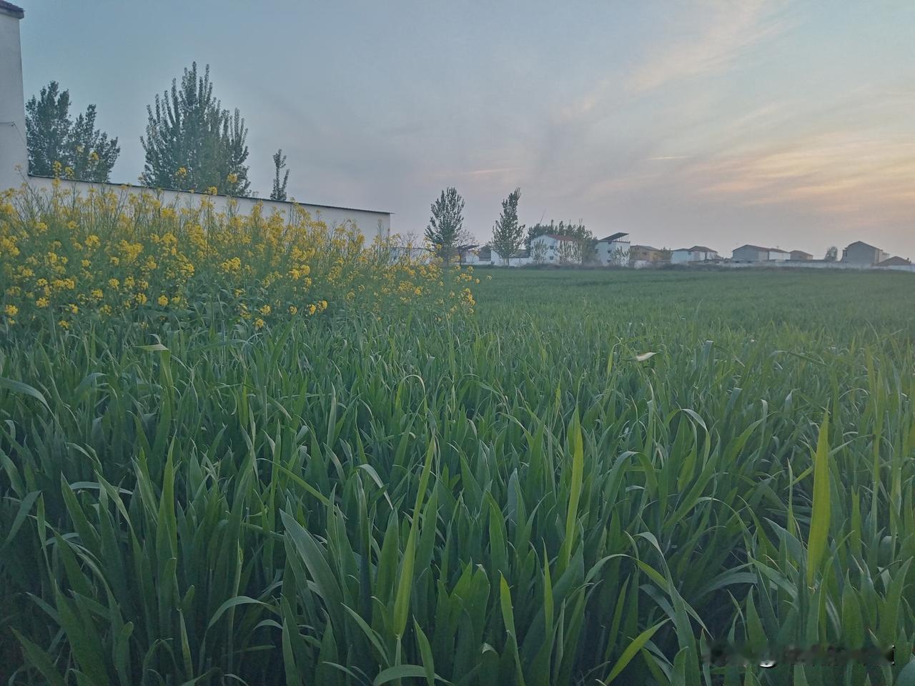 老农谚
雨水多不多，就看三月三
雨落三月三，四十五天连
三月初三是雨天，六月雨水