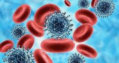 一家3口，全部确诊白血病！医生忠告：3种食物别多吃，希望你听劝

有一则令人心酸