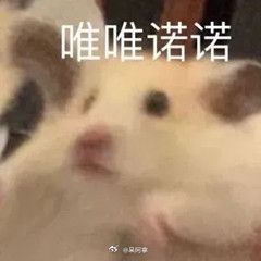 emmm阿离的无双有人试水了吗？都多少出的啊#呆阿拿[超话]# ​​​