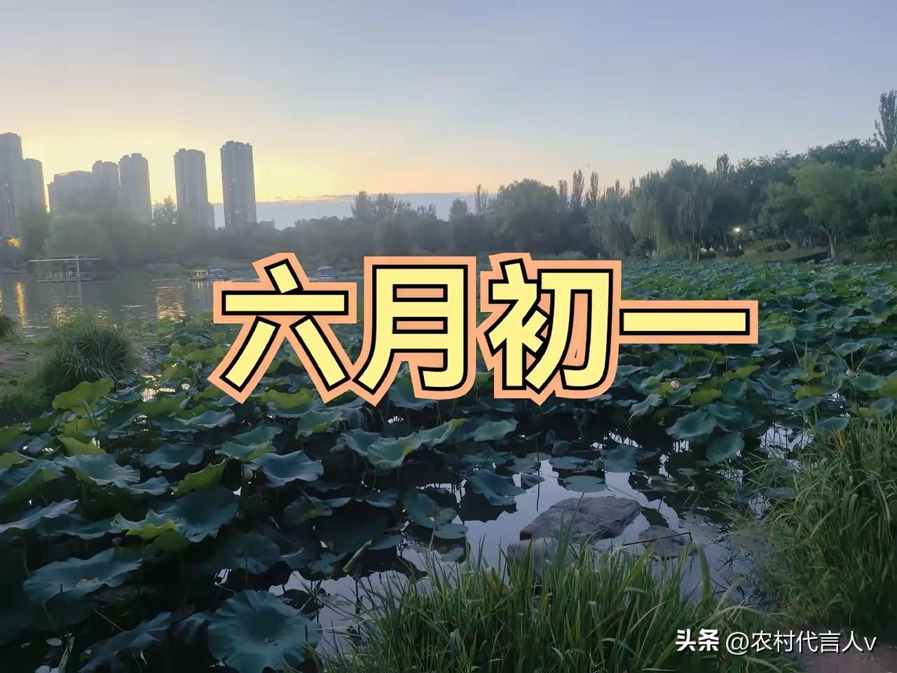明日六月初一，再忙也要牢记：1不出、2不去、3要吃、4不忘！
 
明日农历六月初