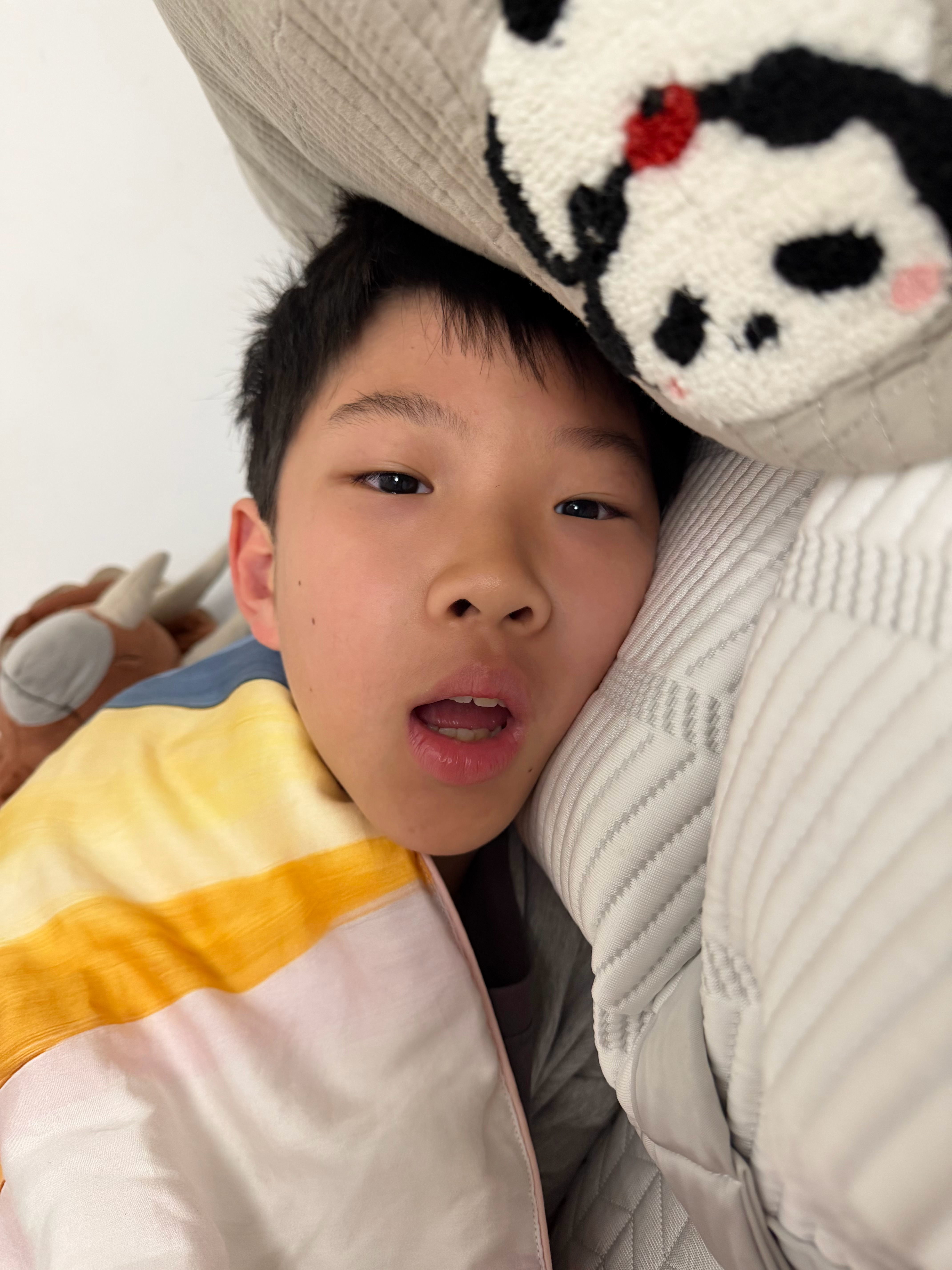 早上小添挤进我的床，看着他的小牙齿，我好羡慕，我就是大板牙巨大，然后嘴巴凸出，下