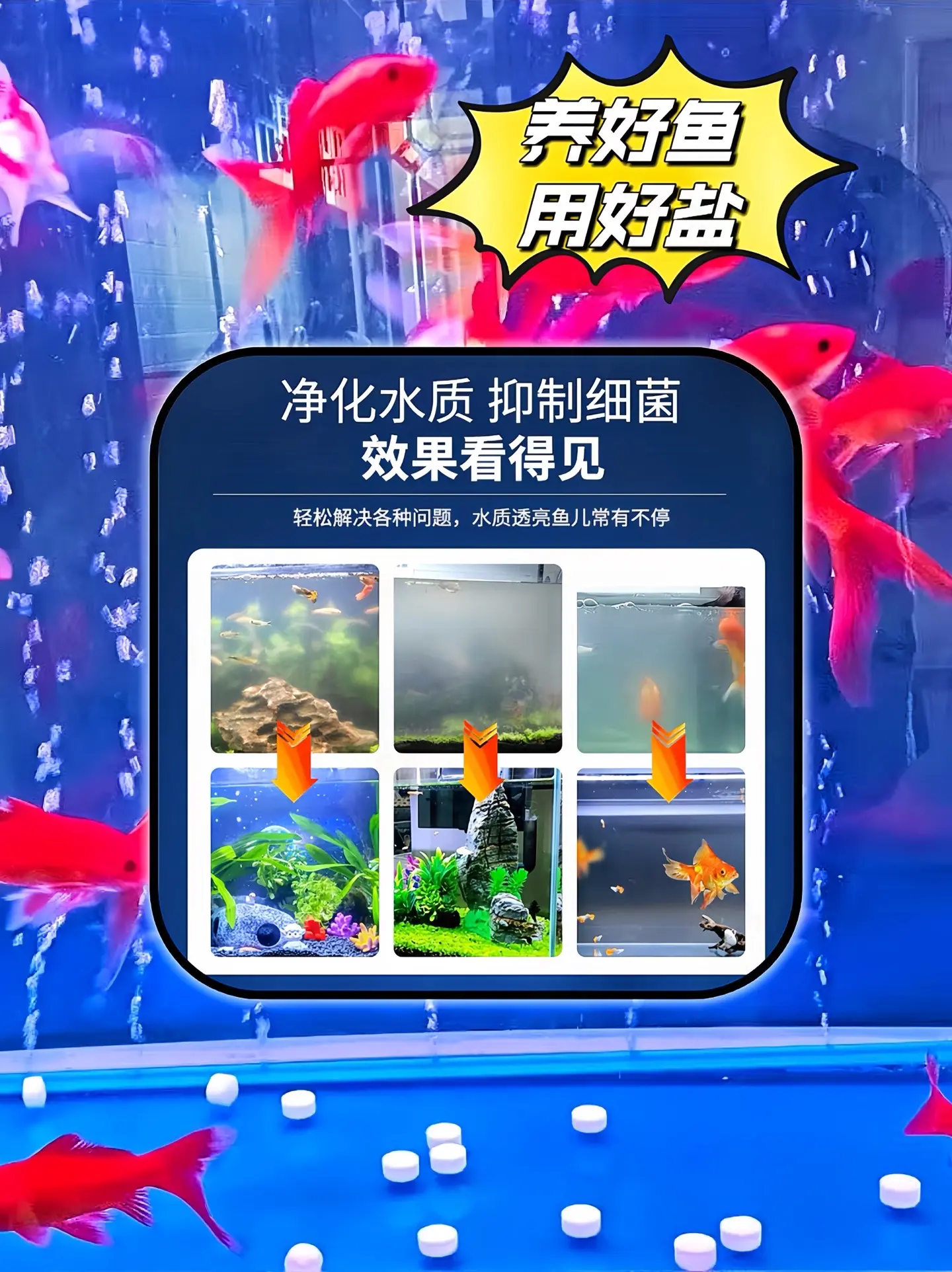 养鱼必备盐好处多多 调节渗透压：能让鱼体与外界水环境的渗透压保持平衡...