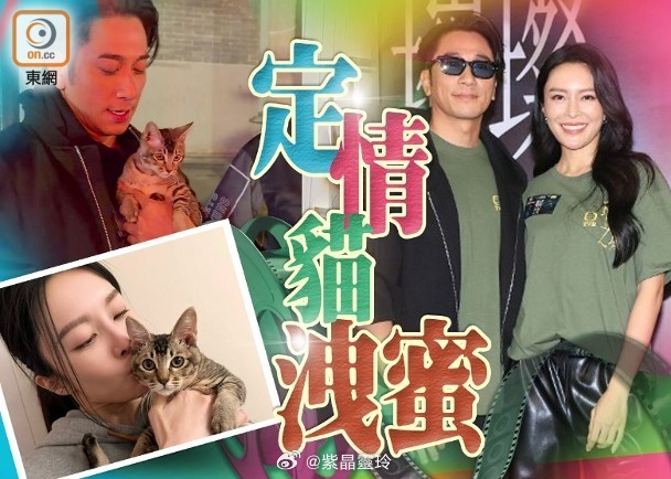 【On.cc】一隻貓兩份養？吳卓羲珠海執流浪貓　驚現張曦雯香閨傳戲假情真現年46