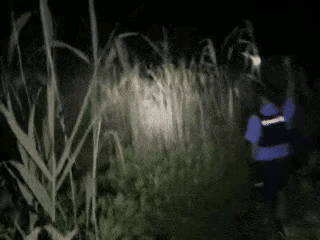 惊险！宁波夫妻赶海游玩，女子滩涂失联，民警争分夺秒赶在涨潮前救人
 
天气回暖，