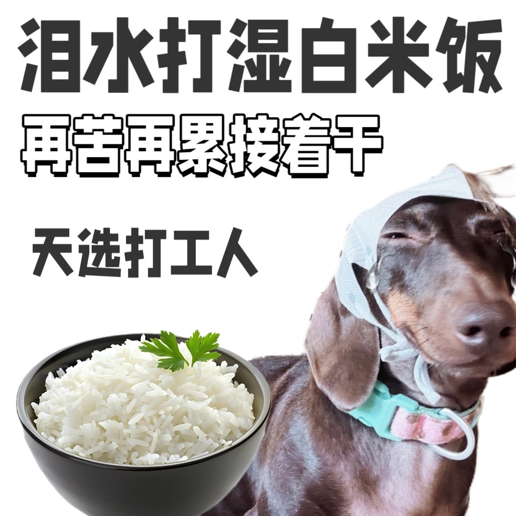 已经开始看锅了