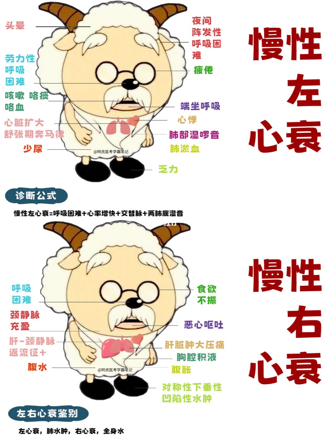 阿虎医考学霸笔记：慢性左心衰VS慢性右心衰