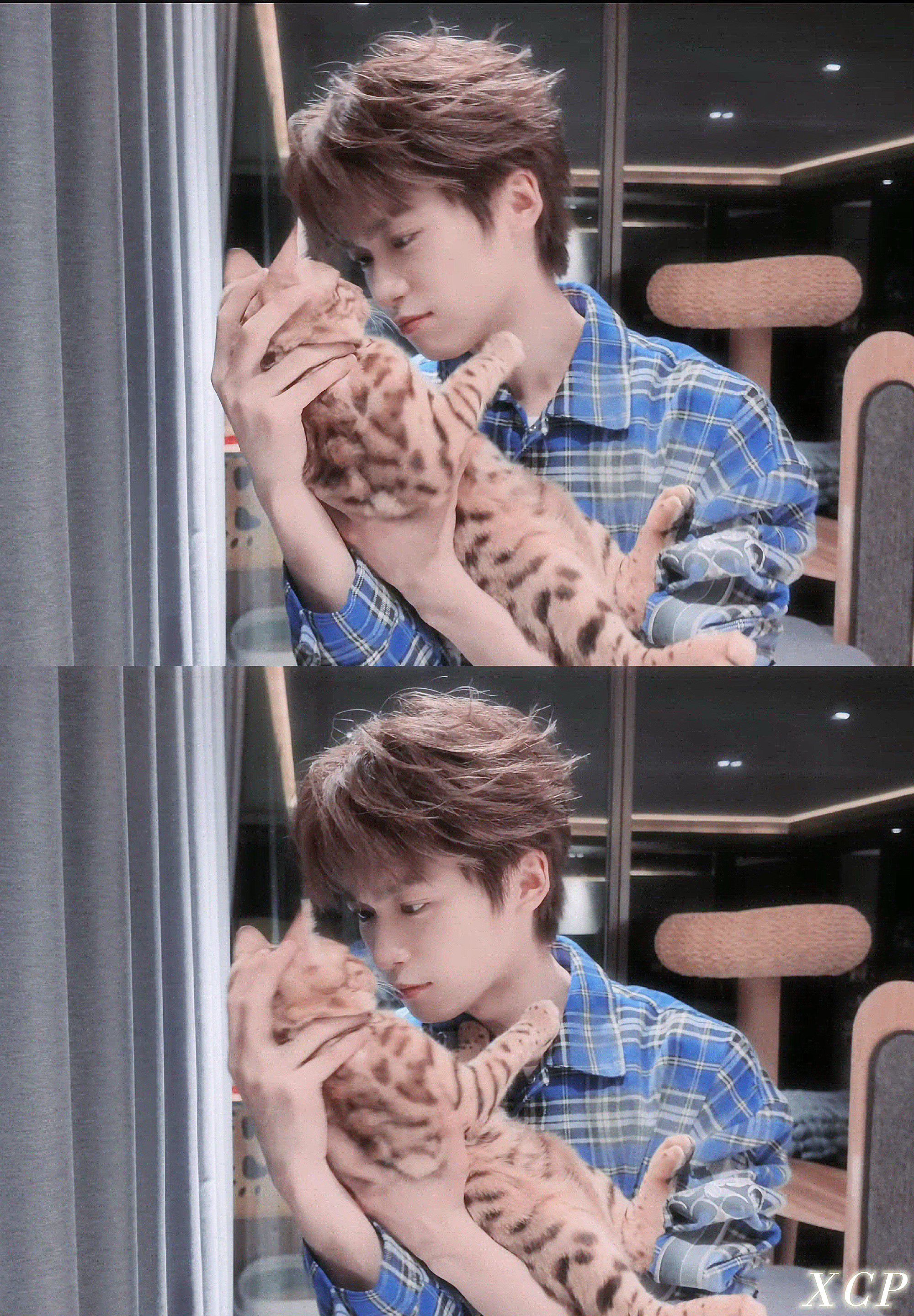 梓渝 zy梓渝未来可期 不管是在操场食堂还是教室我总会和身边的人提起你