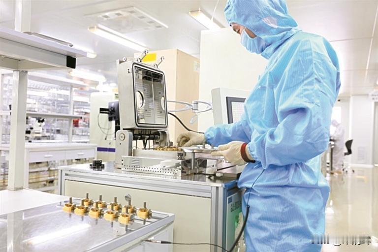 宝安，“新”有“羚”栖。据宝安日报，2024年，宝安新登记商事主体12.3万户、