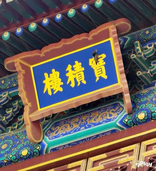在危险边缘试探的大斑啄木鸟 ​​​