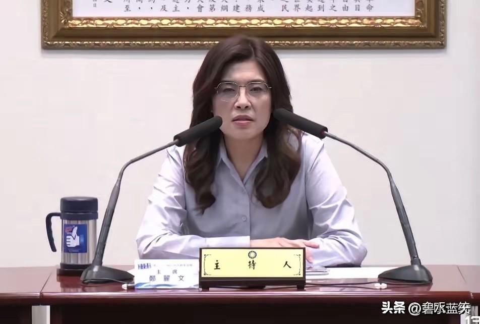 国民党主席郑丽文女士日前在接受媒体采访时谈到了2028台湾地区选举问题，她说自己