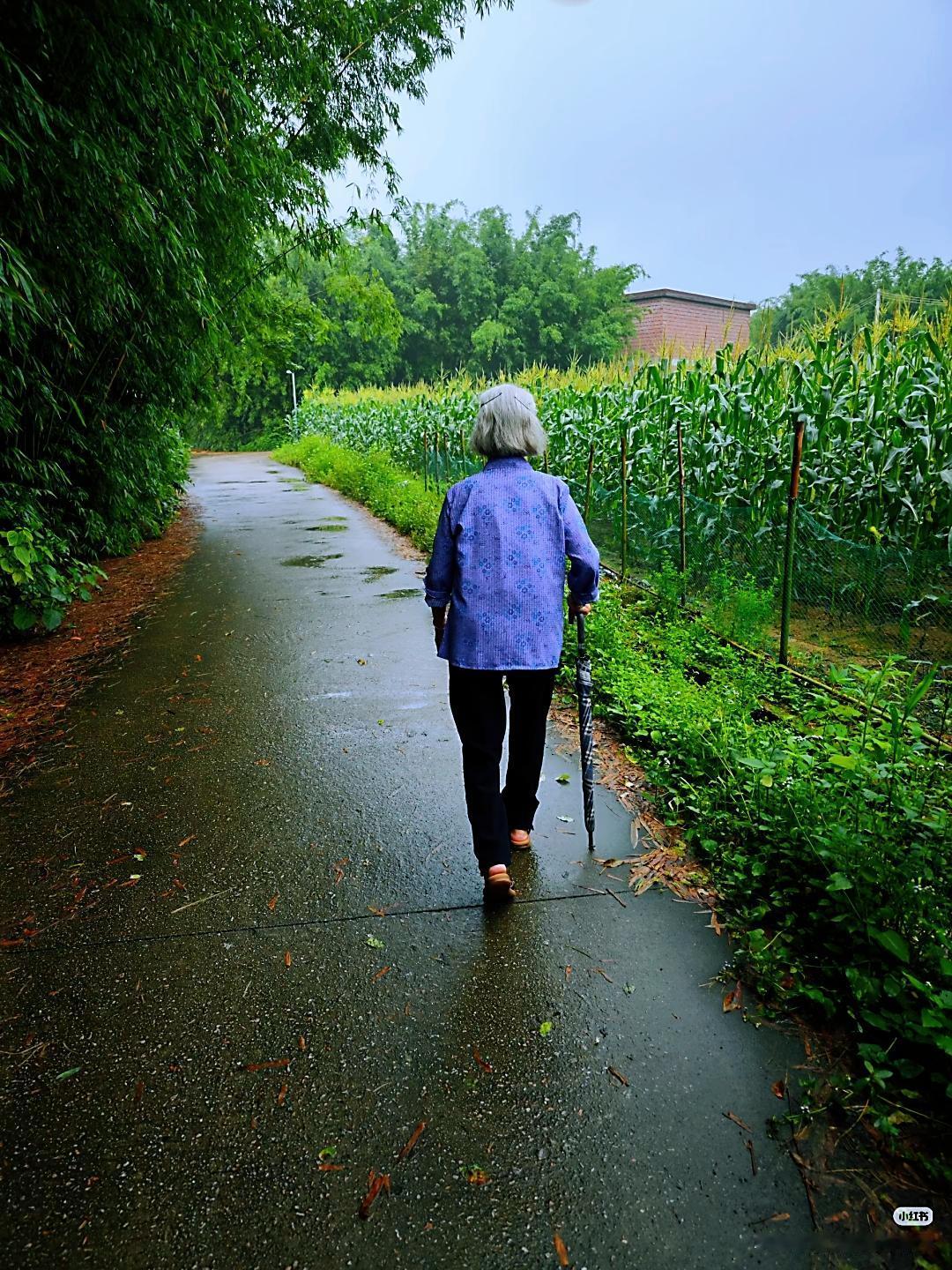 79岁婆婆每月6000退休金一分不花，真相让我又气又心疼！
 
我家婆婆真能把人