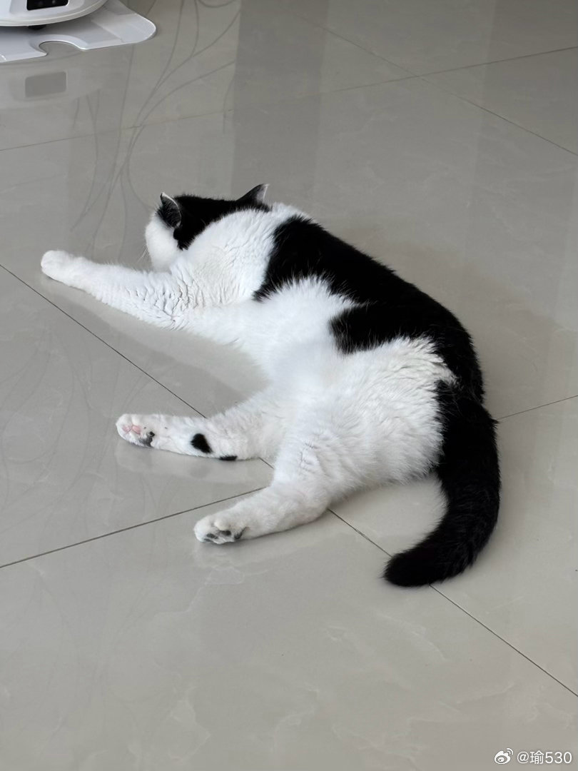 晚安💤 