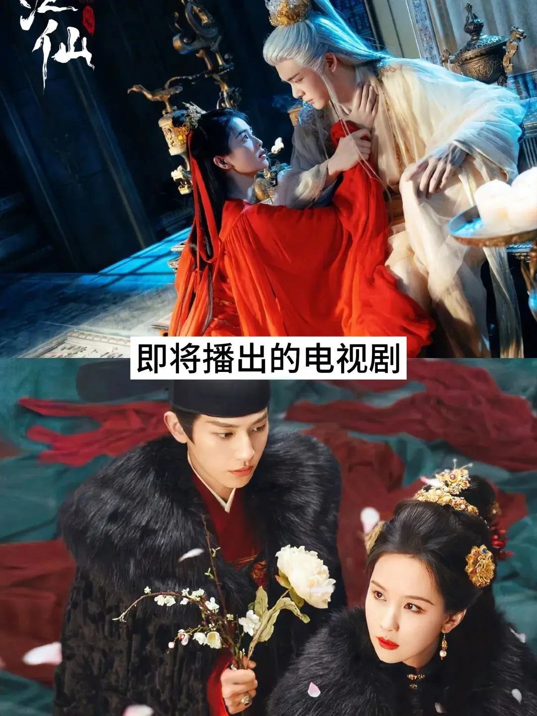 追剧推荐