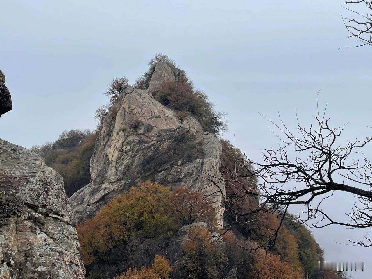 【行香子•冬雨绵绵】
冬雨绵绵，小雪无寒。
偷来逸致步深山。
茫茫云海，飘渺无边