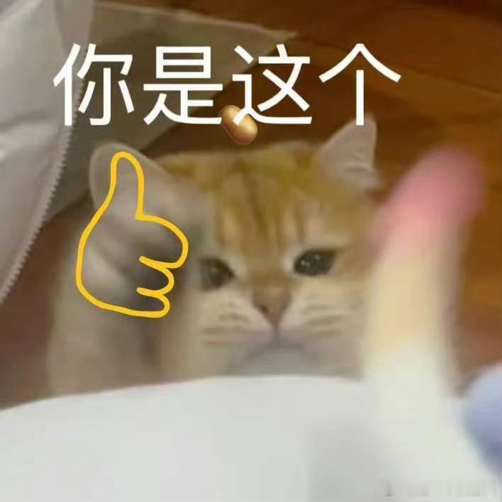 这届冰箱开始整顿长安美食圈盛唐想要一口冰食代价极高，冰箱登场直接降维打击。锁住各