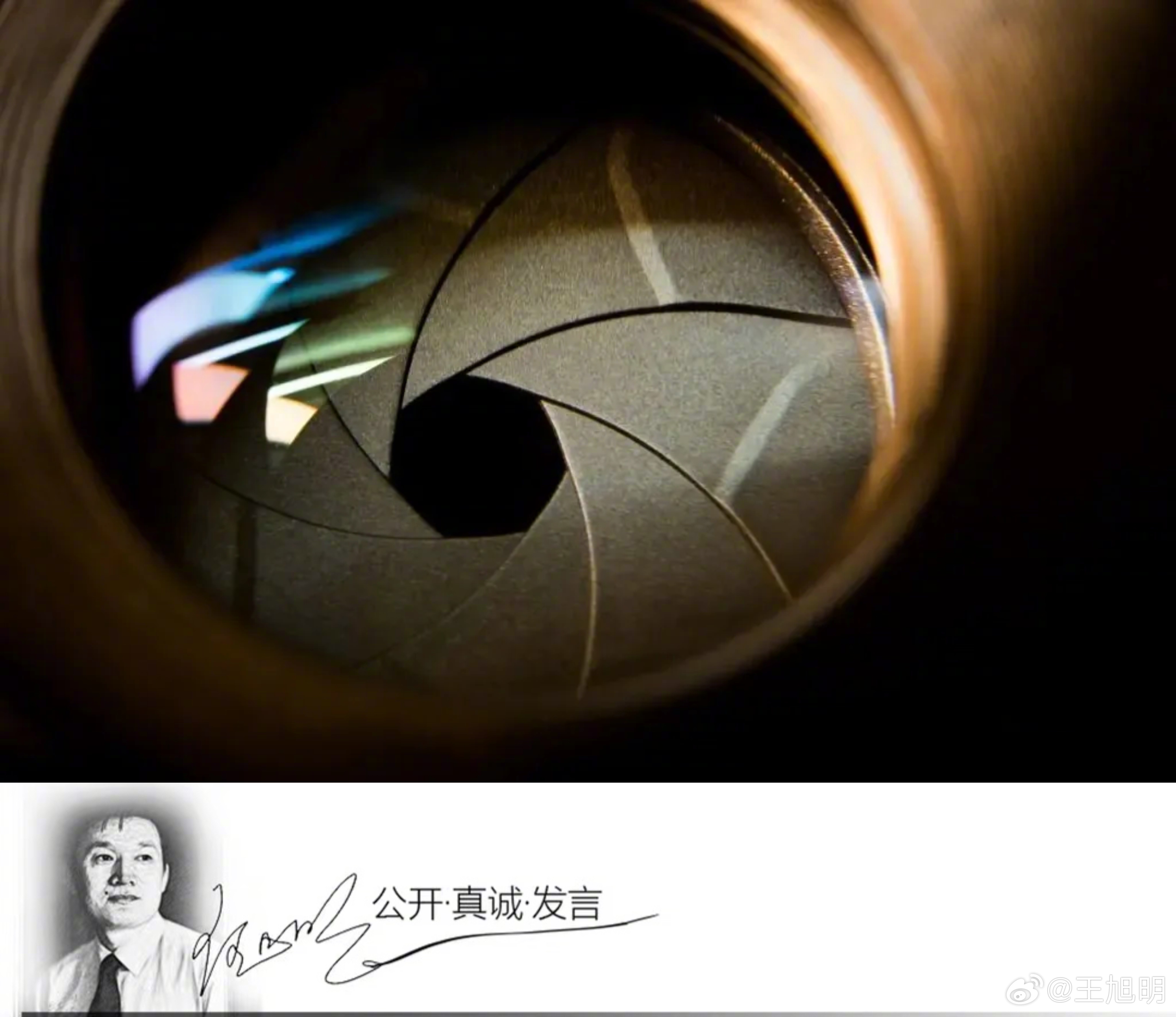 #旭评#有篇文章说，今年记者节国内各大媒体的新媒体平台如期上线了一批庆祝短视频：