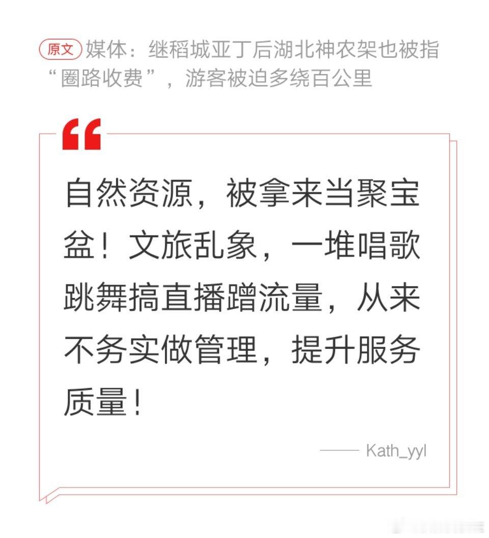 网友的批评