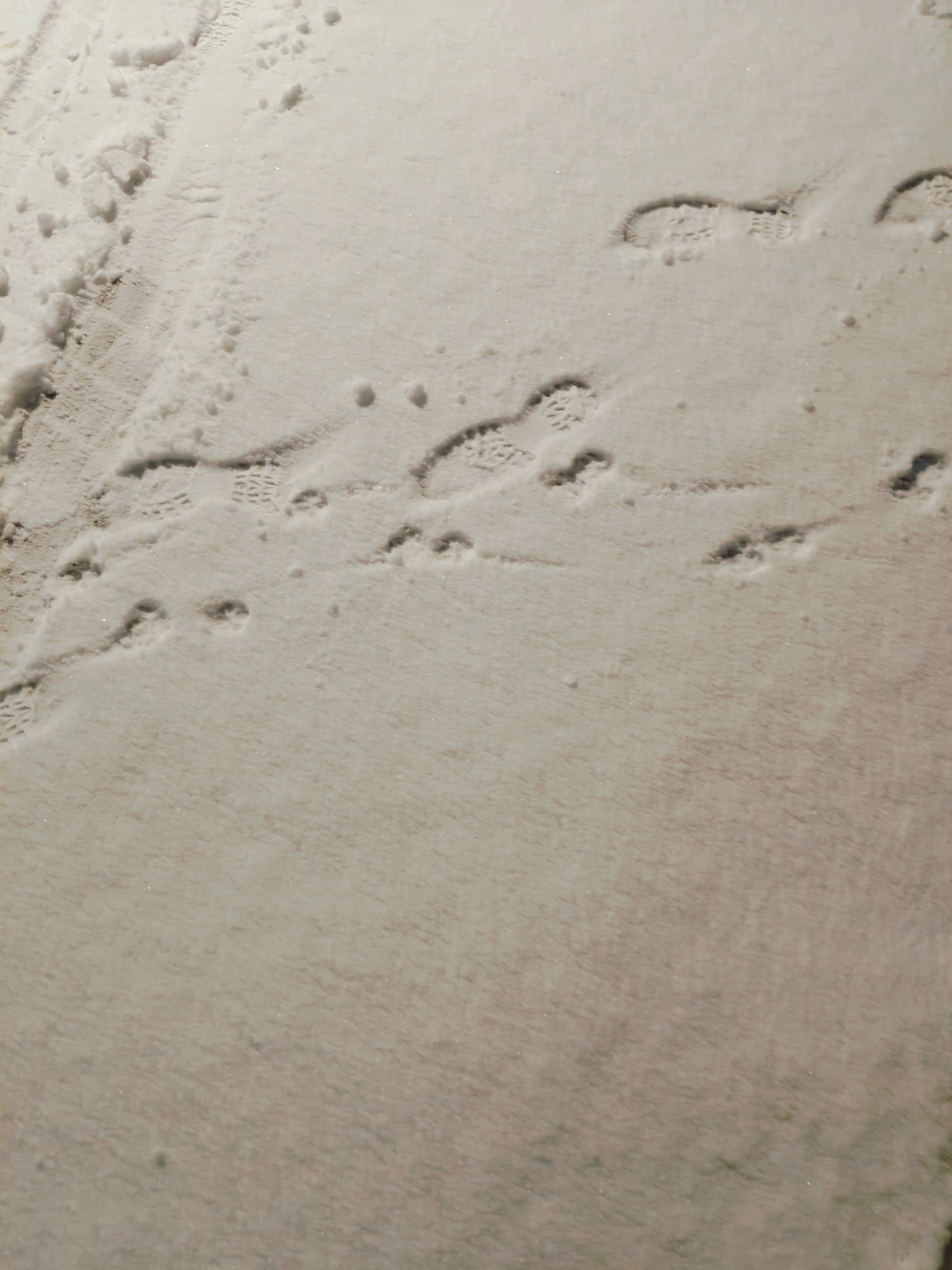 北京下雪下得越来越大了，一边刮风一边下雪，雪落下来像刀子一样割脸。 