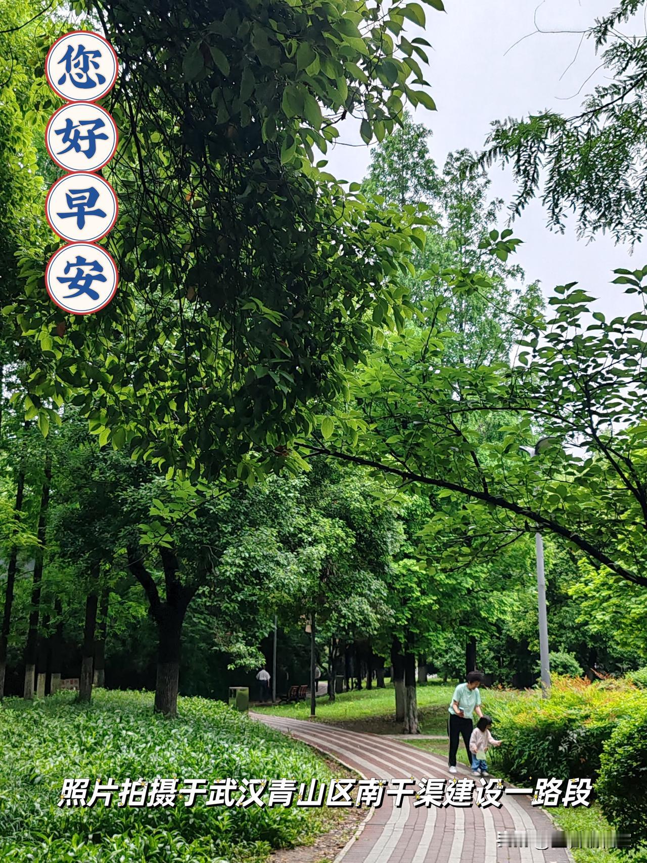 新的一天，大家早上好！🍎🇨🇳🍎小区风景自拍